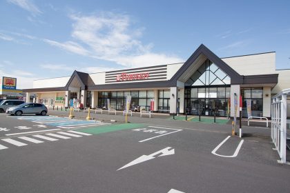 とりせん下田島店