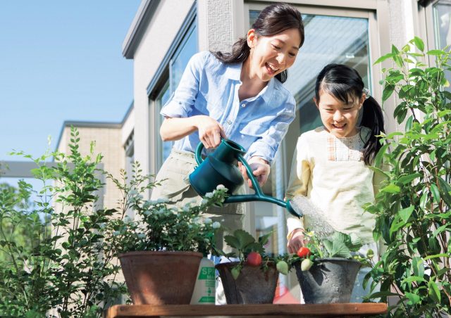 2月の画像