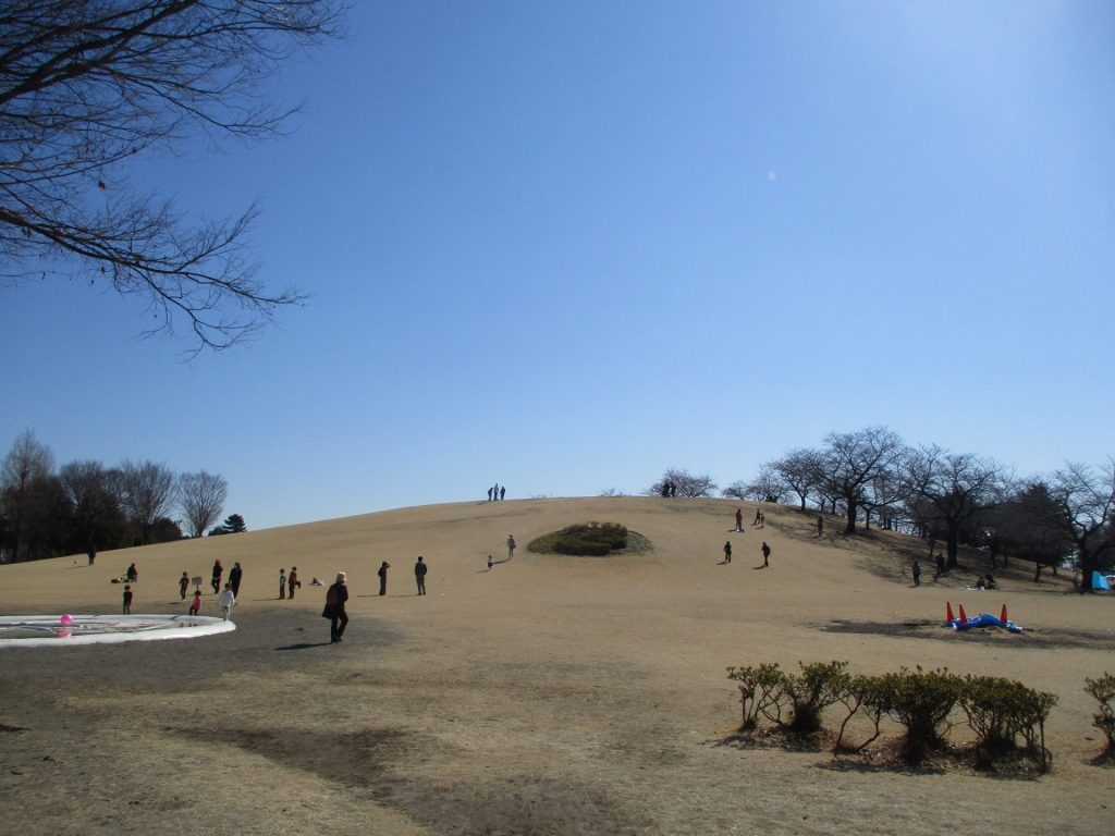 いせさき市民のもり公園