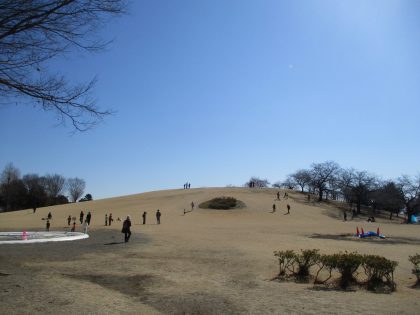 いせさき市民のもり公園