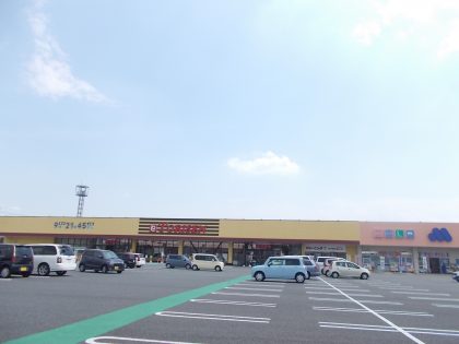 とりせん菅谷ショッピングモール