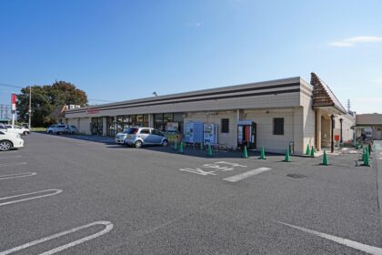 とりせん成島店