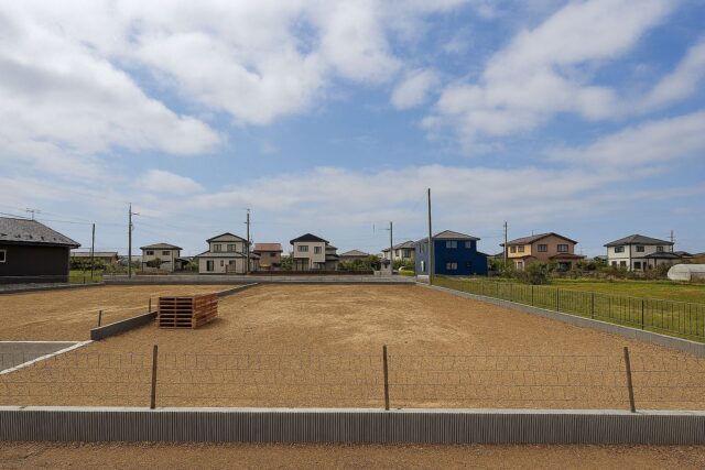 特徴1の画像