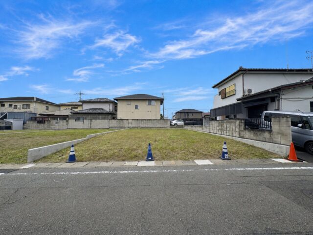 特徴1の画像