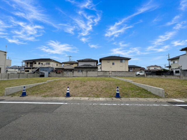 特徴2の画像