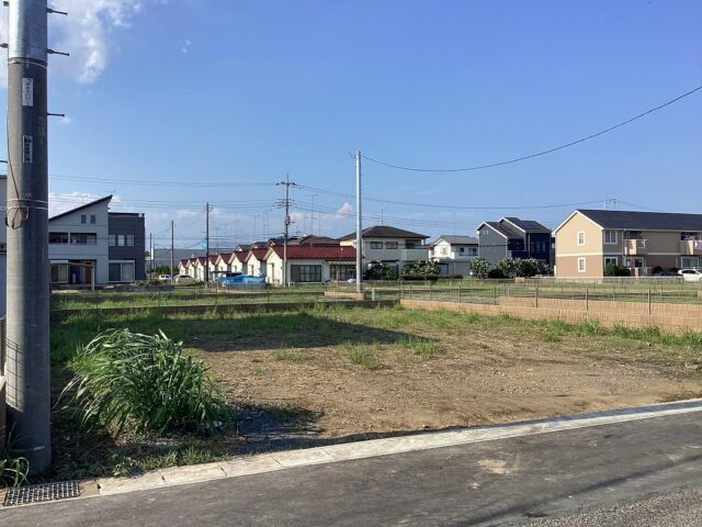 特徴2の画像