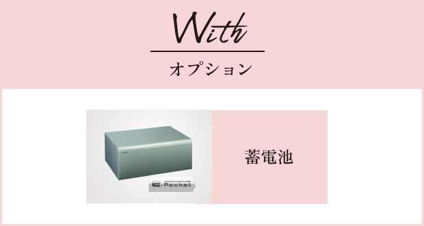 Withオプション 蓄電池