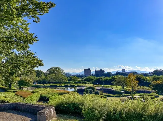緑豊かな街並みのイメージ画像
