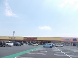 スマートハイムシティ菅谷（周辺環境）とりせん菅谷ショッピングモール